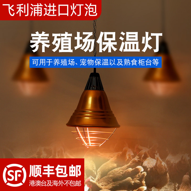 Philips breeding heating heating insulation bulb 150W 250W insulation livestock chicken piglet heating
