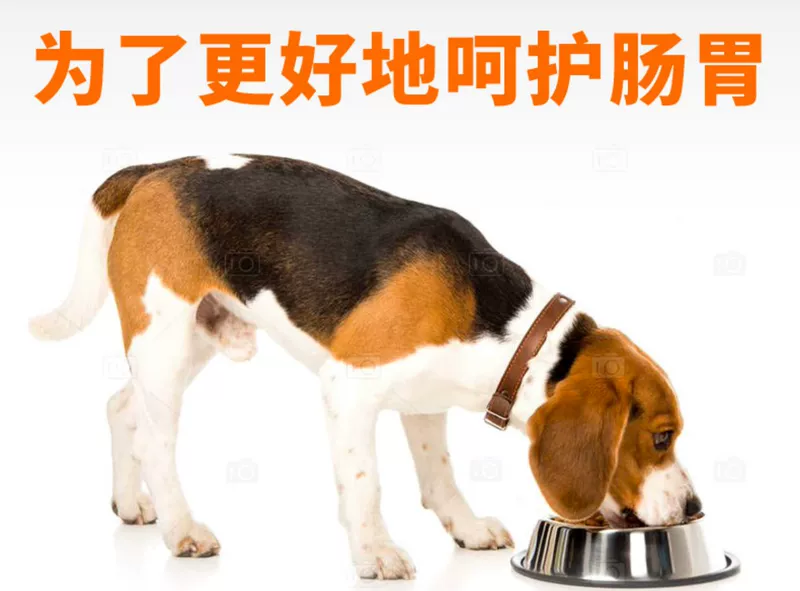 Thức ăn cho chó của chó Bijii Bomei thức ăn cho chó đặc biệt để nước mắt lông đẹp Bomei đầy đủ giá thức ăn cho chó trưởng thành 2kg - Chó Staples pate cho chó