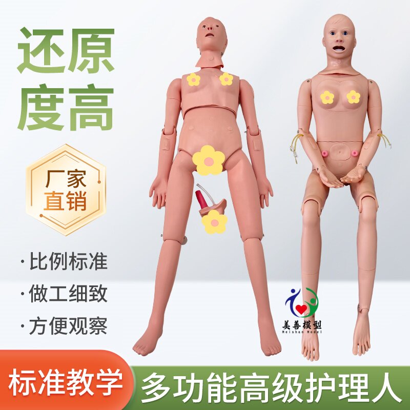 多功能护理模拟人模型男女性医院学校用人体教学模特输液打针导尿