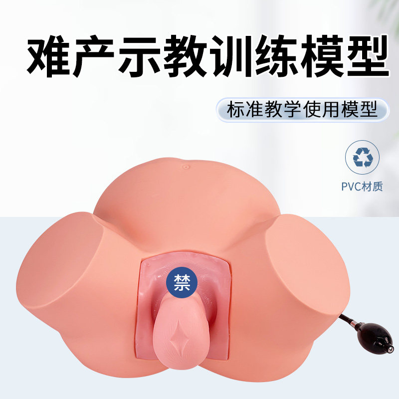 高级难产示教训练模型分娩示教模型 妇产科难产助产分娩教学模型
