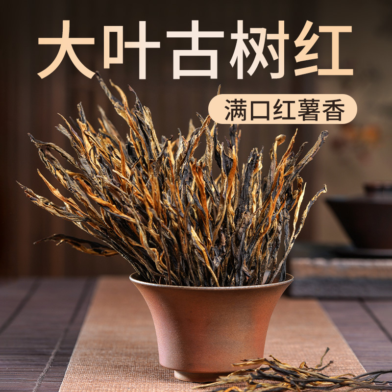 Zuijinzhizhi Big Leaf Ancient Tree Yunnan Black Tea 2026 Ailao Mountain Forest Tea Sweet Potato Aroma Yunnan Black Tea Gift Box 500g Zuijinzhizhi Big Leaf Ancient Tree Yunnan Black Tea 2026 Ailao Mountain Forest Tea Sweet Potato Aroma Yunnan Black Tea Gift Box 500g