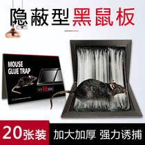 Mouse stickers Strong household sticky mouse board Mouse glue Yao particles capture rat artifact drug spirit buster indoor 20 sheets