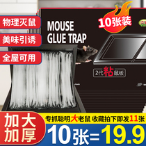 Sticky mouse board Indoor strong mouse paste household nemesis increase thickening capture and drive out the mouse glue artifact nest end