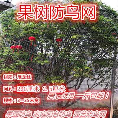 Network of net-fenced net thickening net grapeframe fruit tree set bag outdoor