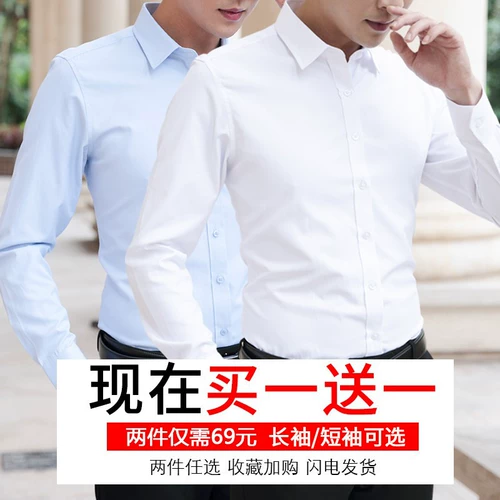 Рубашка, белый пиджак классического кроя, весенний трендовый лонгслив, облегающий крой, с рукавом, короткий рукав, в корейском стиле