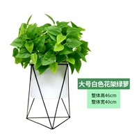 Большая белая цветочная подставка+зеленый луо Луо