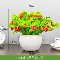 Xiaohong palm+3 имитационный фарфоровый белый бассейн
