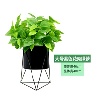 Большая черная цветочная полка+зеленый луо