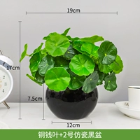 Медная монетная лист+2 Имитационный фарфор черный бассейн