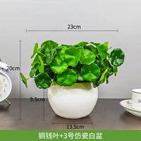 Медный лист+3 имитационный фарфоровый белый бассейн