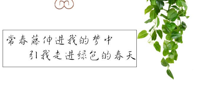 Hoa giả mô phỏng treo tường thực vật treo hoa lan phòng khách nho trang trí cây xanh mô phỏng thân cây xanh giỏ chậu trang trí trần - Hoa nhân tạo / Cây / Trái cây