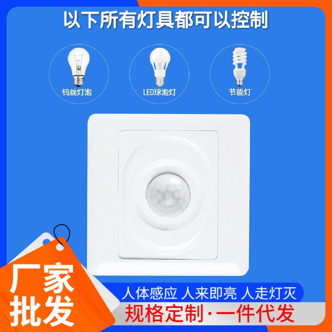 外贸出口110V两线86型人体红外感应开关全天感应可控节能灯12V24V