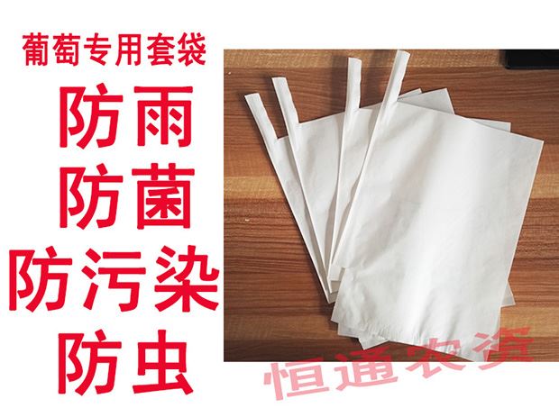 Trái cây túi đầy đủ mẫu làm vườn cung cấp túi nho đỏ túi gỗ trắng bột giấy túi chống túi giấy - Nguồn cung cấp vườn chậu trồng cây