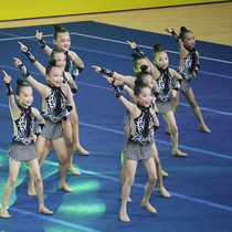 Customized cheerleading competition uniforms cheerleading uniforms competitive aerobics clothing sets dance uniforms new styles for women 19