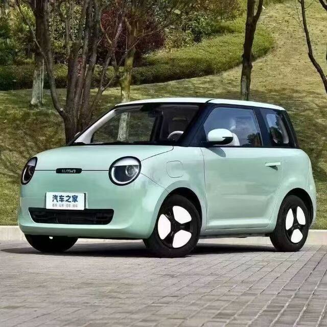 Suitable for Changan Lumin Fender, Wing Panel, Front Bumper Side Panel, Lumin Fender Paint