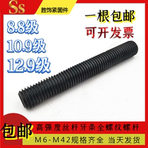 Full tooth screw 8 8 10 9 12 9 grade high strength tooth bar thread fine tooth screw M16M20M24 screw