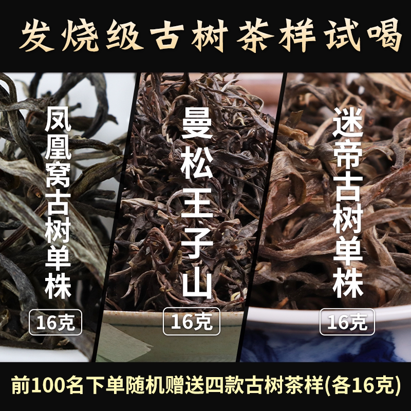 Pu'Er Raw Tea Man Song Prince Mountain Vs. Miti Single Tree Vs. Phoenix Nest Single Tree Pk Tea Sample Tasting 48g 2026 Early Spring Harvest Pu'Er Raw Tea Man Song Prince Mountain Vs. Miti Single Tree Vs. Phoenix Nest Single Tree Pk Tea Sample Tasting 48g 2026 Early Spring Harvest