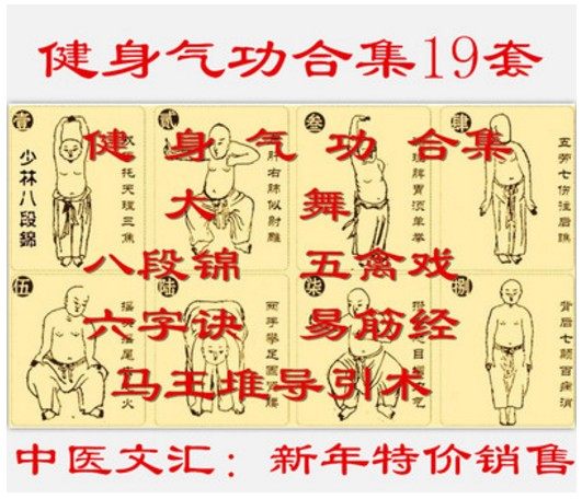 Fitness qigong film 19 sets of eight sections of the five-bird-to-be-six-word decisive and easy fascia via the giant stage horse king pile guide