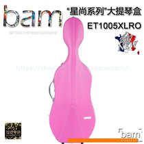 French original Bam Hightech LeacuteTOILE ET1005XL Star series cellist box