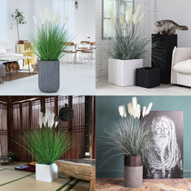 Big nose large simulation green plant reed dogtail grass floor-to-ceiling bonsai Home decoration living room houseplant potted plants