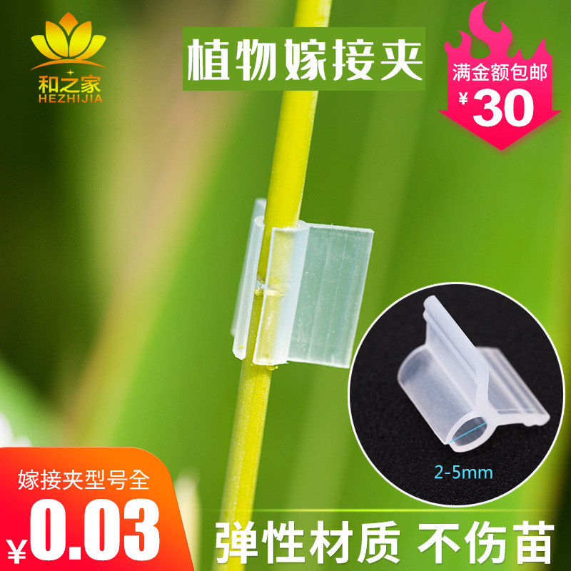 Plants, vegetables, fruits, eggplants, watermelons, melons, grafting clips, seedlings, grafting clips, soft, no harm to seedlings