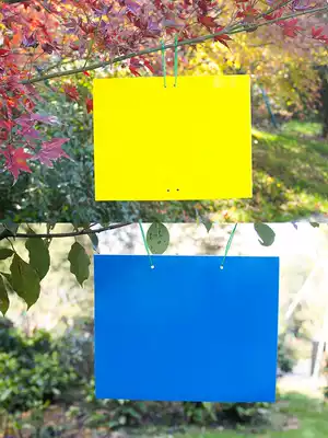 Long-acting waterproof imported glue yellow blue sticky insect board yellow board double-sided environmental protection physical insecticide board
