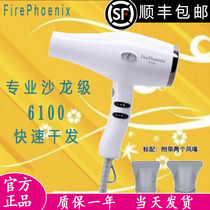 Fire Phoenix 6100 hair dryer hair salon hair stylist dedicated home silent high power styling wind tube
