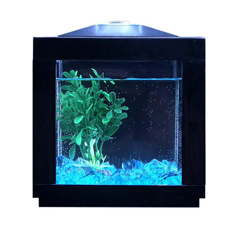 Desk Mini Creative Fish Tank Small Aquarium Table Top Living Room