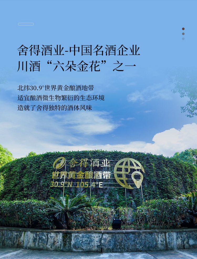 沱牌旗下高端 舍得 金猫银猫 52度浓香型白酒500mLx2瓶 熊猫礼盒 赠熊猫酒杯2个 券后248元包邮 值值值-买手聚集的地方