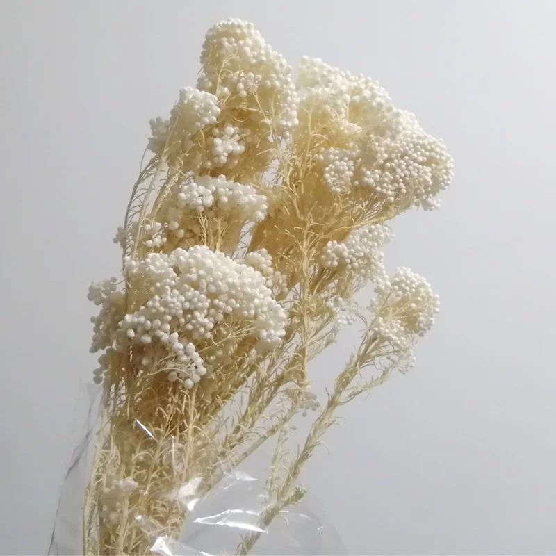 Rice цветок бессмертный букет засохший цветок пакет домашнее обеденная комната декор смешанный и подобрать букет украшения ручной работы корзина масло-плавучий материал