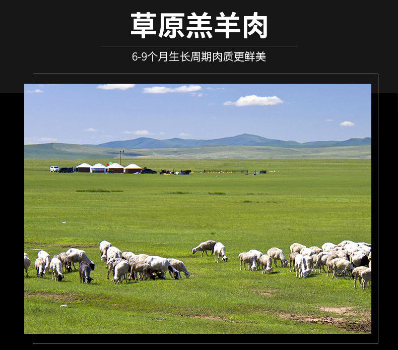 白云飘 内蒙锡盟 乌珠穆沁羔羊肉卷 5斤 图2