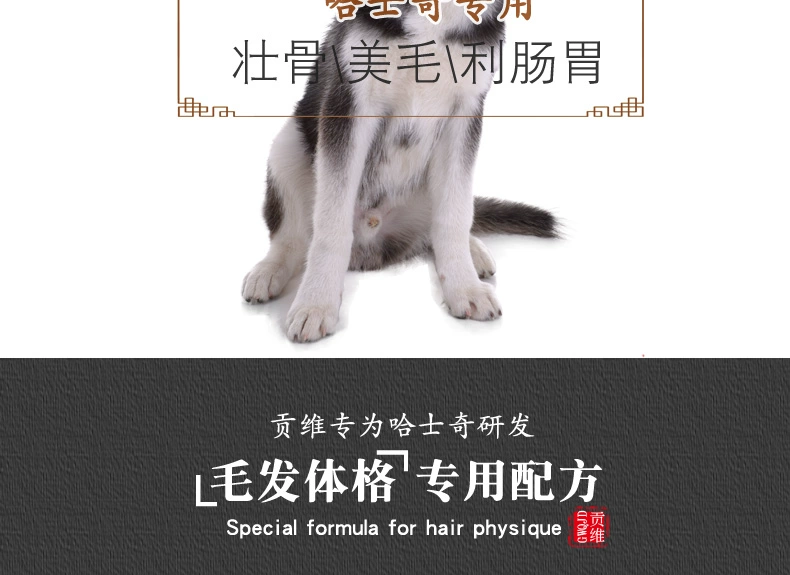 Husky đặc biệt thức ăn cho chó 10kg chó con chó trưởng thành nói chung tải 20 kg chó trung bình làm đẹp lông canxi hạt tự nhiên - Chó Staples cám cho chó con