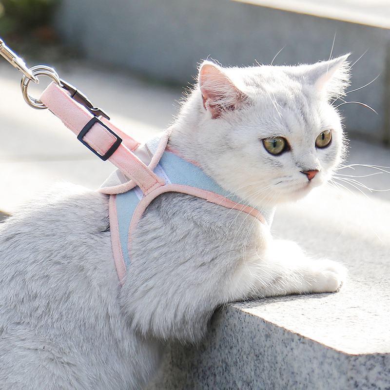 Cat traction rope vest cat rope cat special cat cat out of the cat rope anti-break cat chain supplies