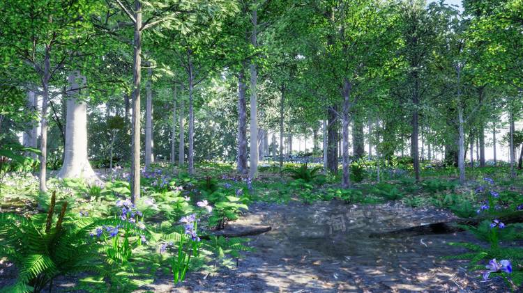 图片[3]-Northeastern US Plants and Ecosystems植物生态系统UE5环境UE4-cg男孩