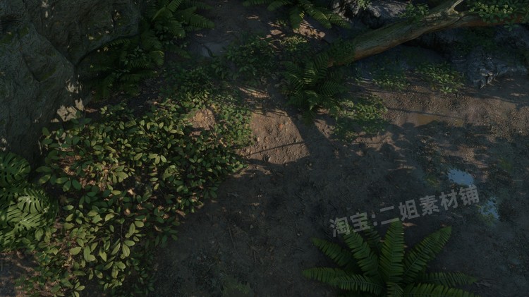 图片[5]-ropical Jungle Pack热带丛林UE4资产虚幻5植物岩石花草树木藤蔓-cg男孩