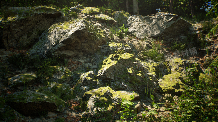 图片[15]-Japanese Forest Grave日本森林坟墓神社植物道具UE5.1游戏资产-cg男孩