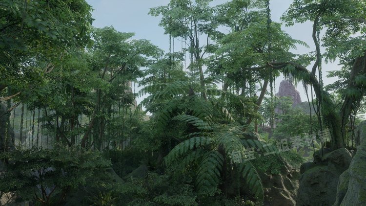 图片[7]-ropical Jungle Pack热带丛林UE4资产虚幻5植物岩石花草树木藤蔓-cg男孩