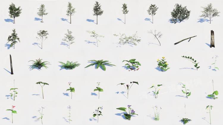 图片[8]-Northeastern US Plants and Ecosystems植物生态系统UE5环境UE4-cg男孩