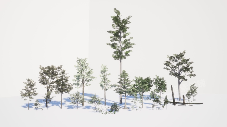 图片[6]-Northeastern US Plants and Ecosystems植物生态系统UE5环境UE4-cg男孩