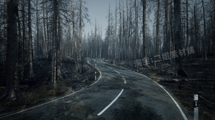 图片[12]-MW Burned Dead Trees Forest Biome燃烧森林死树枯木UE5虚幻5.1-cg男孩