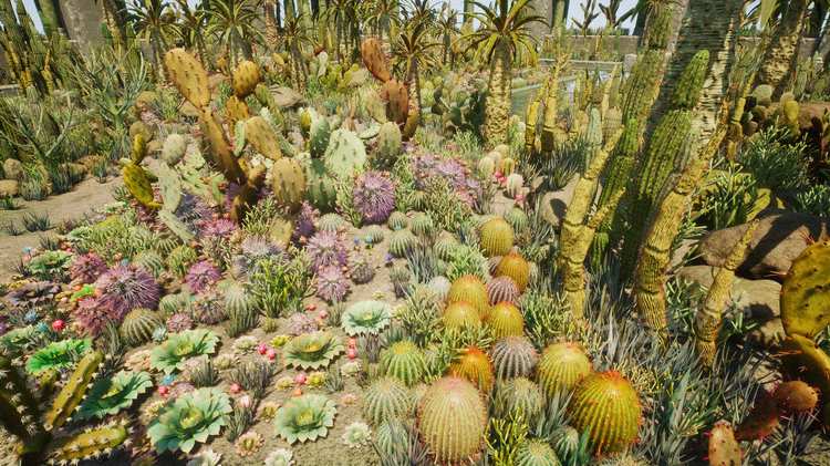 图片[3]-Cactus Plants: Desert Garden仙人掌植物沙漠花园岩石UE4.27建筑-cg男孩