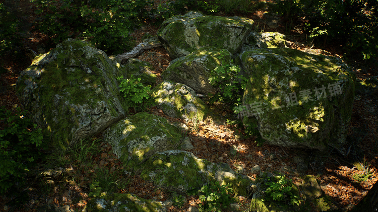 图片[11]-Japanese Forest Grave日本森林坟墓神社植物道具UE5.1游戏资产-cg男孩