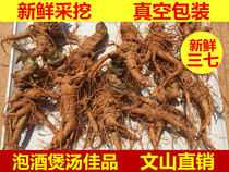Four-year-old fresh Panax notoginseng head 500g authentic Yunnan Wenshan Panax notoginseng roots special grade Chaoqi soaked in wine soup raw Tianqi
