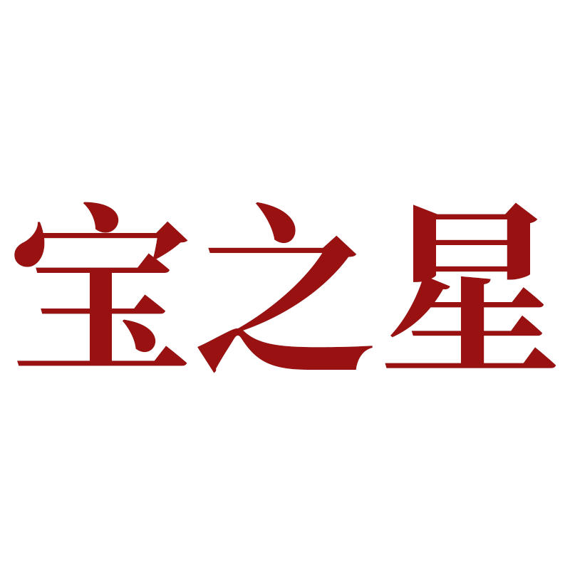 宝之星汽车用品