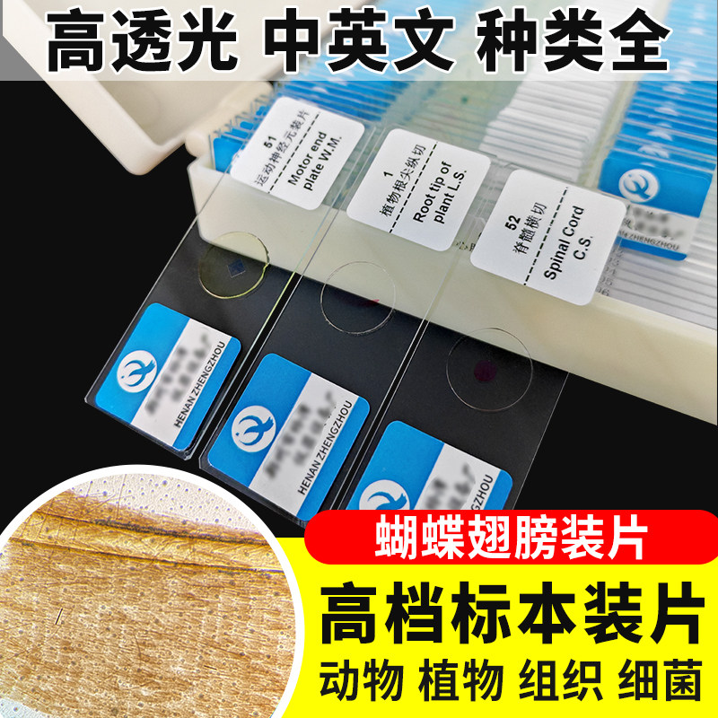 蝴蝶翅膀装片切片装片生物切片涂片小学初中高中生物科学实验切片