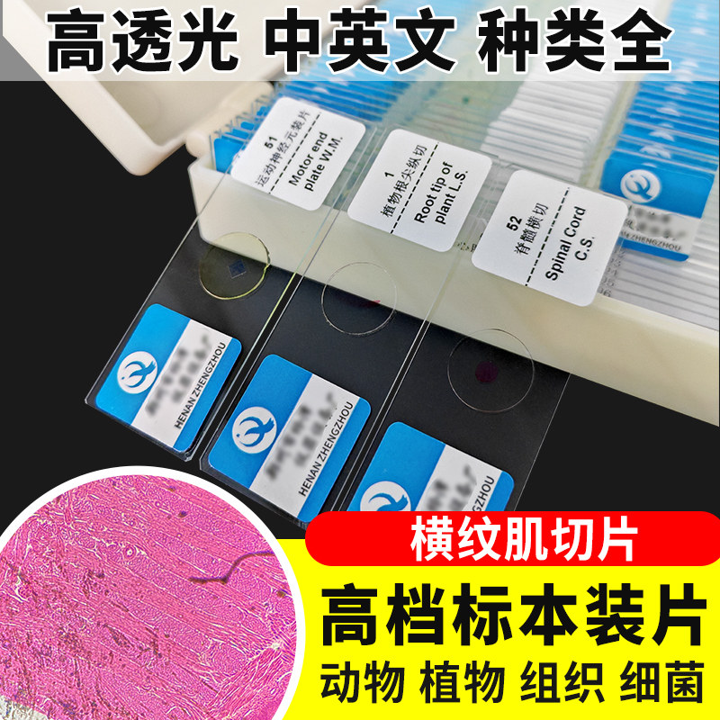 横纹肌切片装片生物切片涂片小学初中高中生物科学实验切片显微镜