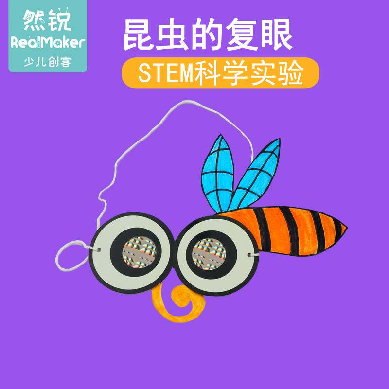 益智早教器材料包科学小实验幼儿园Stem小学生发明昆虫的复眼教具