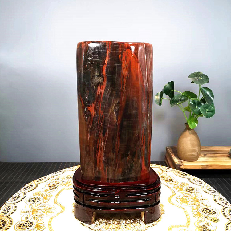 Natural Xinjiang Wood Fossil Tree Fossilized Jade Silica Wood Raw Stone Wood-Turned-Stone Chinese-Style Home Decoration Ornamental Stone Ornaments