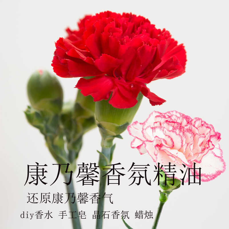 康乃馨香氛精油香精diy香水香薰香薰精油花香香薰蜡烛
