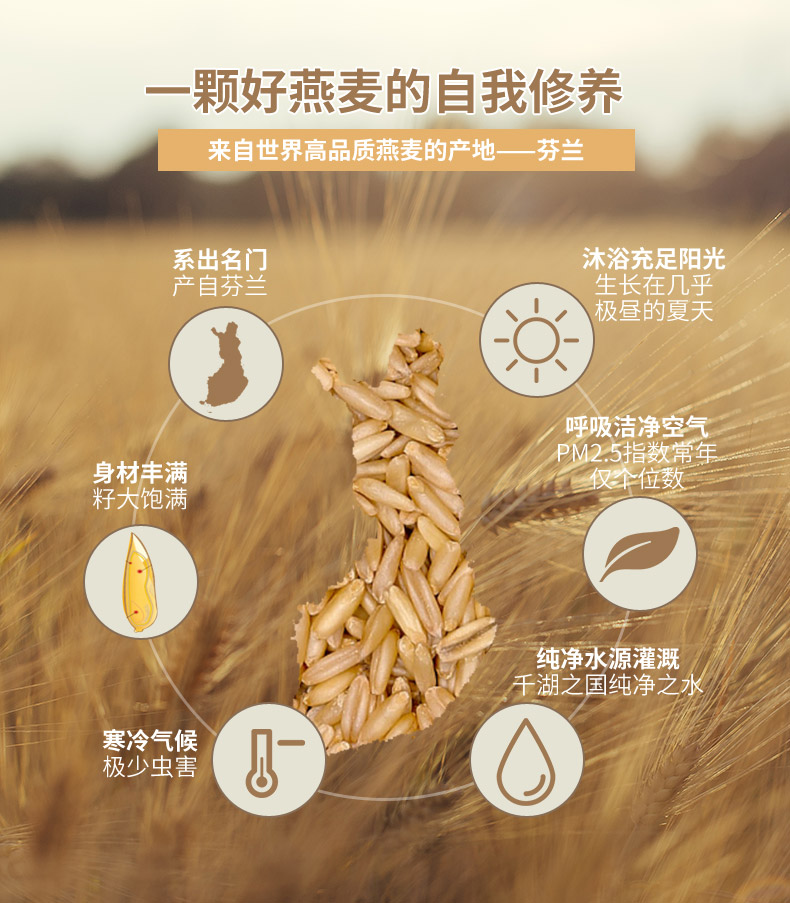 芬兰进口 Kaslink AITO 低脂无乳糖燕麦饮料 250ml*8瓶 图8